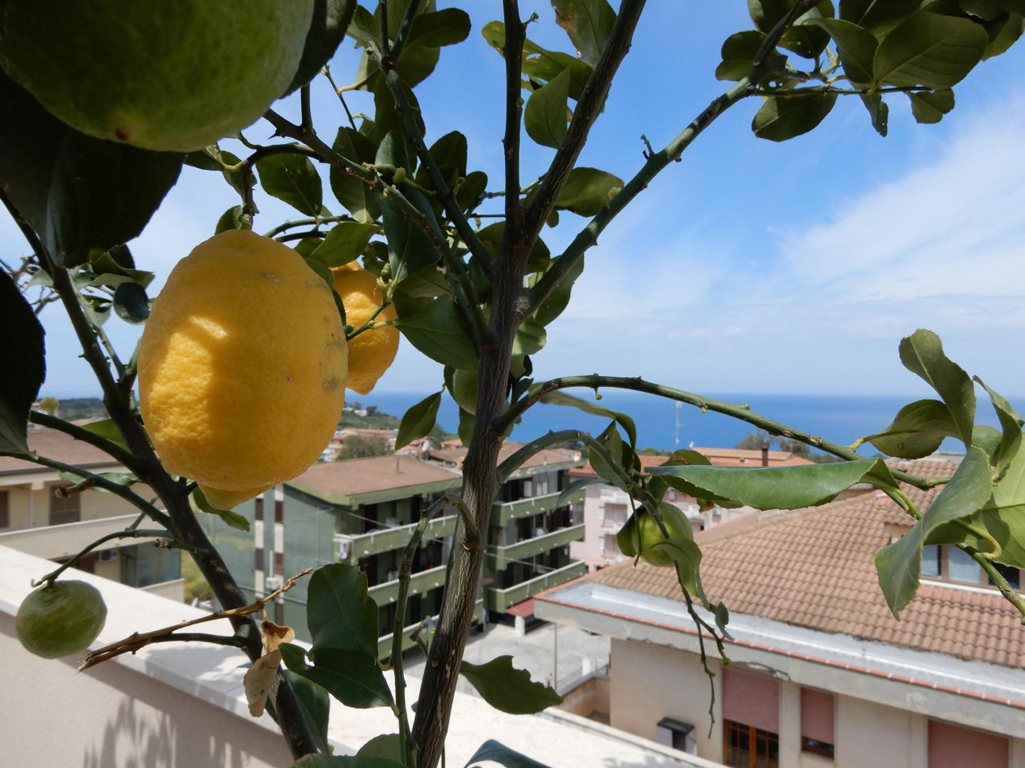 Middle Town Palace Tropea Kültér fotó